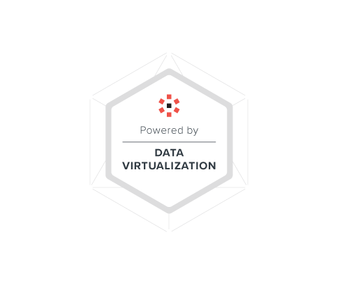 Data Virtualization graphic